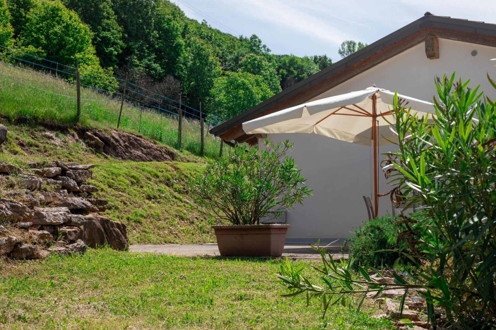 Agriturismo Riva Dei Coz Sequsino Bagian luar foto