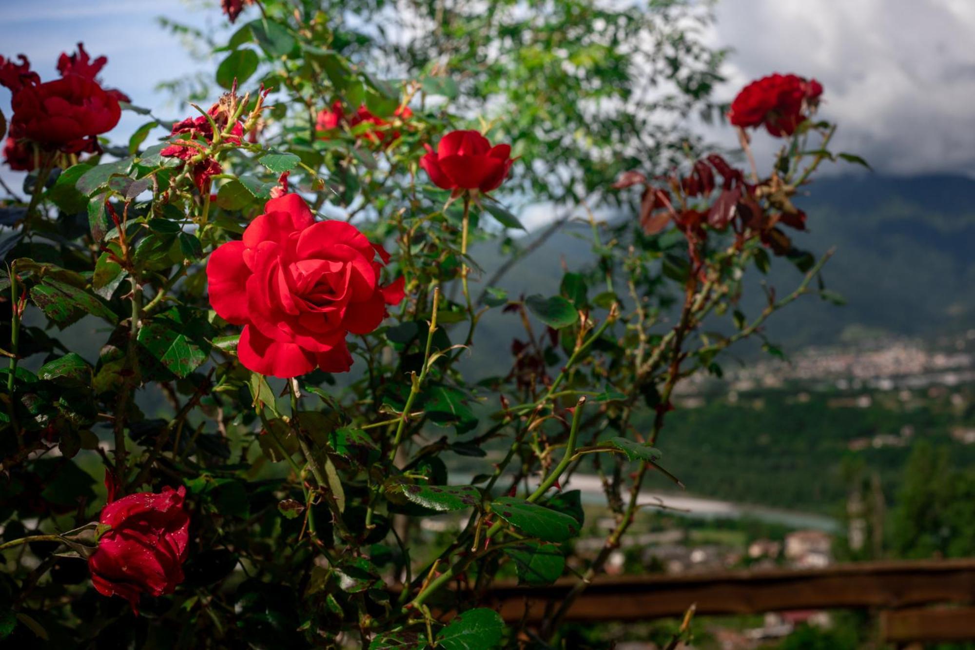 Agriturismo Riva Dei Coz Sequsino Bagian luar foto